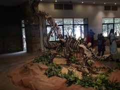 -自贡恐龙博物馆