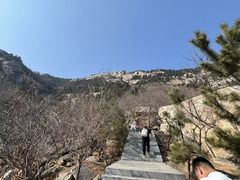 -沂蒙山旅游区云蒙景区(蒙山国家森林公园)
