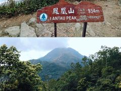 -凤凰山
