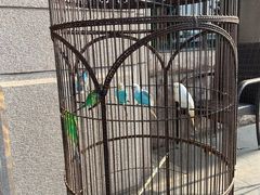 -老味道民宿(栈桥店)