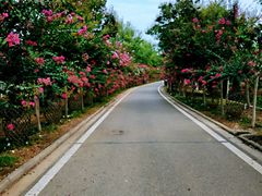 -武汉紫薇都市田园