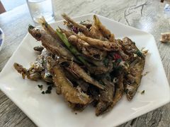 -品雅轩农家乐