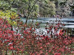 -石台牯牛降景区