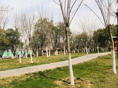 -洨河生态公园