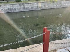 -元大都城垣遗址公园