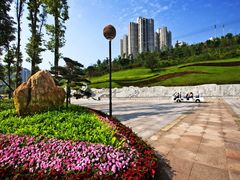 -龙头寺公园