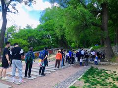 -阳台山自然风景区