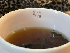 -猫里有甜