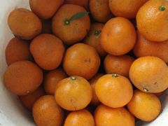 -小六农家乐(崇明西沙湿地店)