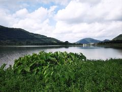 -风云岭森林公园