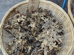 -宋记冕宁土菜馆(海门渔村二店)