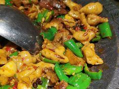 -聚鑫朋酸菜肥肠(文艺路口店)