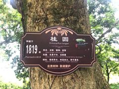 -张坝桂圆林公园