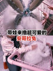 -萌兔星空蹦床撸兔馆