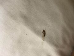 -苏州环秀晓筑养生度假村