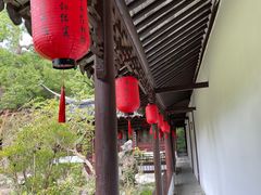 -上海醉白池公园