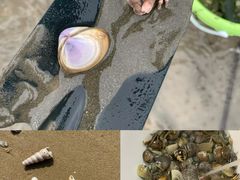 -巧克力渔家.小船海鲜胶东菜(万平口店)