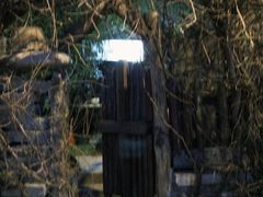 -斯多格书乡(北京大学畅春园店)