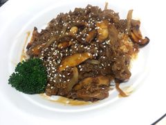 -汤去三面(骆驼店)