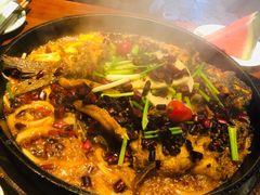 -老板恋上鱼(高新万达店)