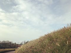 -蜀SHU·川菜