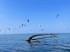 -捞渔河湿地公园