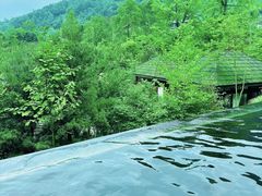 -中铁花水湾四季温泉谷