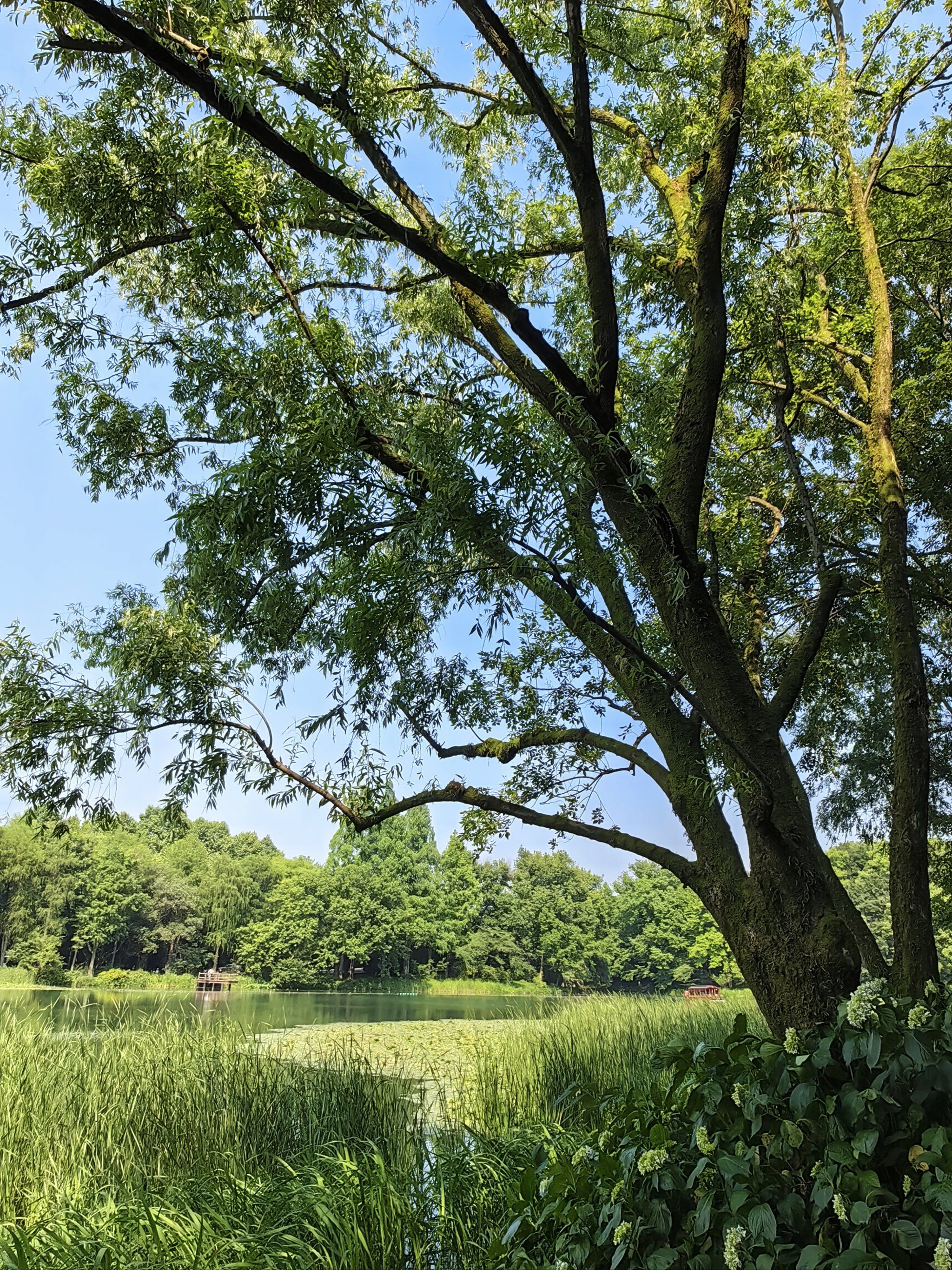 玩转杭州|浴鹄湾(乌龟潭)景区