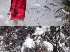 -武陵山森林公园