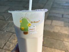 -猫的魔法密林(衣裳街店)
