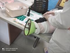 -瑞派宠物医院·24h·骨外科·皮肤科·全科宠物医疗转诊中心(沈阳浑南院)