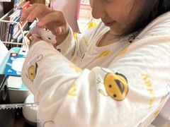 -酷以爬仙阁实体爬宠店·守宫·蜥蜴·专业繁育