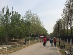 -永定河休闲森林公园