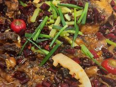 -老板恋上鱼(恒隆广场店)