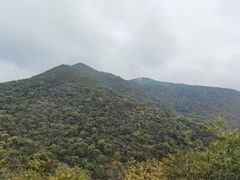 -南京老山国家森林公园