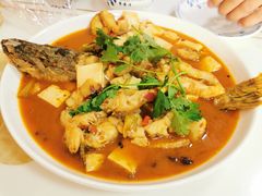 红烧狗鱼-煲来饱去冷水鱼