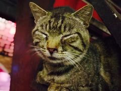 -吉友粥底火锅(方斜路店)