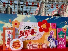 -荷兰花海
