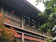 -十八棵（老龙井）御茶园(老龙井店)