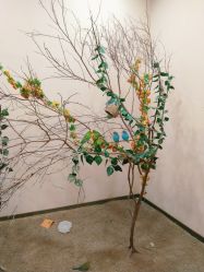 -萌宠家互动乐园