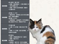 -翊宠yipet猫狗购宠庄园犬舍•猫舍
