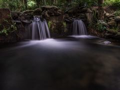 -深圳仙湖植物园-停车场