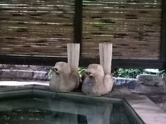 -厦门日月谷温泉渡假村