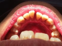 -泰康拜博口腔(世博园乐尔店)