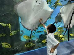 -福州罗源湾海洋世界旅游区