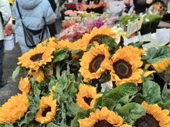 -循礼门鲜花花市(武汉循礼门店)