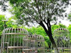 -洨河生态公园