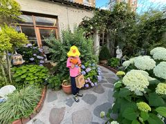 -Jo's Garden