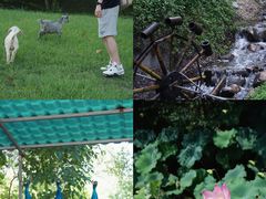 -福建鲤鱼洲酒店