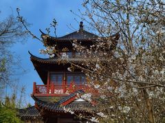 -堤角公园